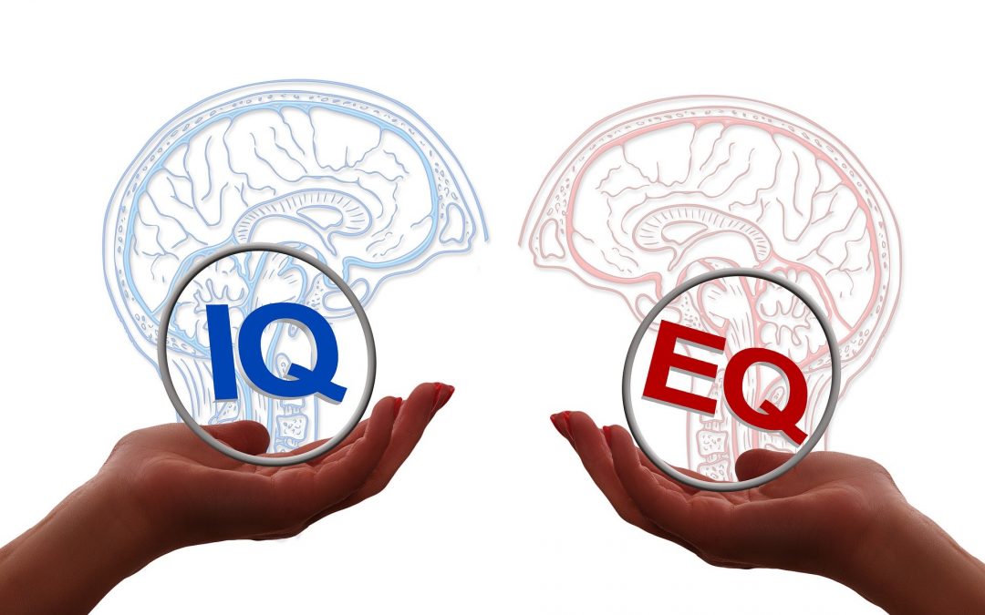 Inteligência Emocional ou QI, o que determina o sucesso?
